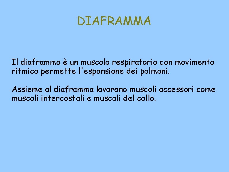 DIAFRAMMA Il diaframma è un muscolo respiratorio con movimento ritmico permette l'espansione dei polmoni.