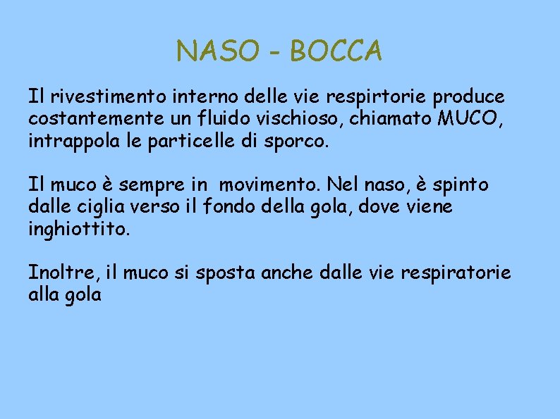 NASO - BOCCA Il rivestimento interno delle vie respirtorie produce costantemente un fluido vischioso,