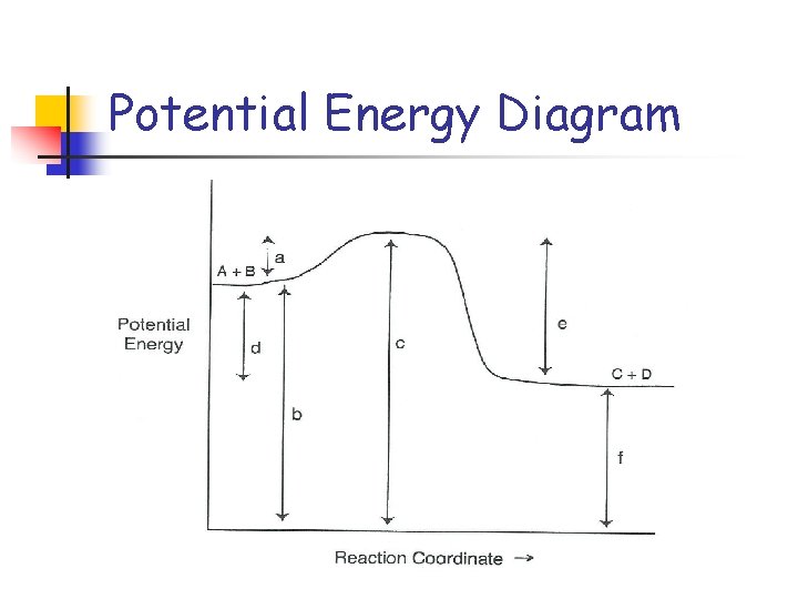 Potential Energy Diagram 
