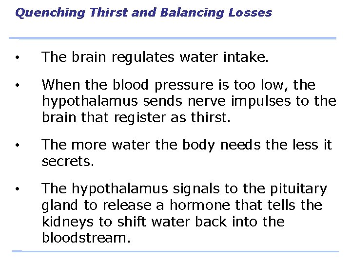 Quenching Thirst and Balancing Losses • The brain regulates water intake. • When the