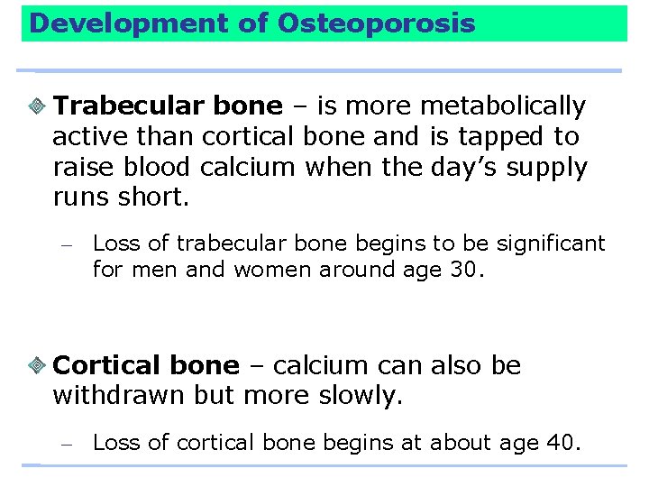 Development of Osteoporosis Trabecular bone – is more metabolically active than cortical bone and