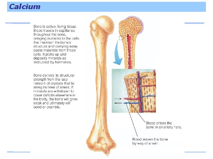 Calcium 