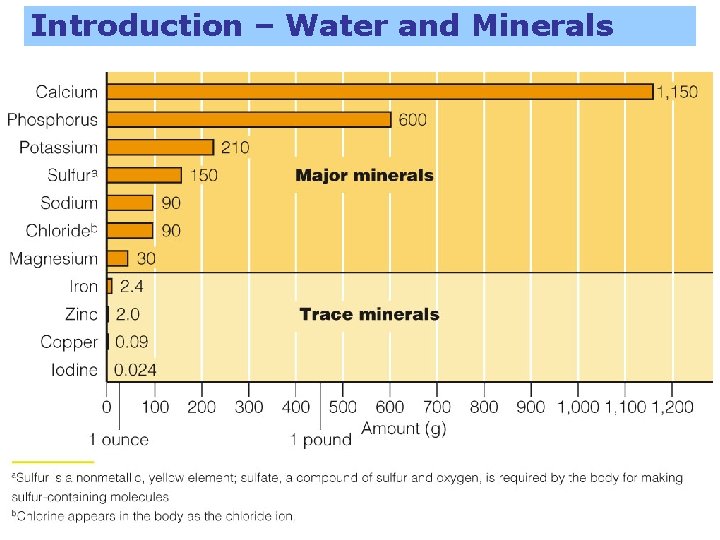 Introduction – Water and Minerals 