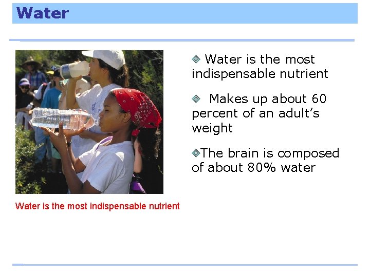 Water is the most indispensable nutrient Makes up about 60 percent of an adult’s