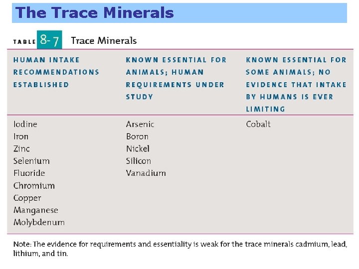 The Trace Minerals 