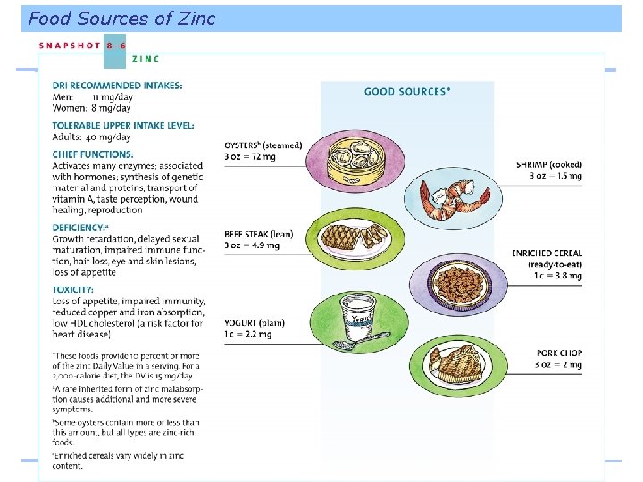 Food Sources of Zinc 