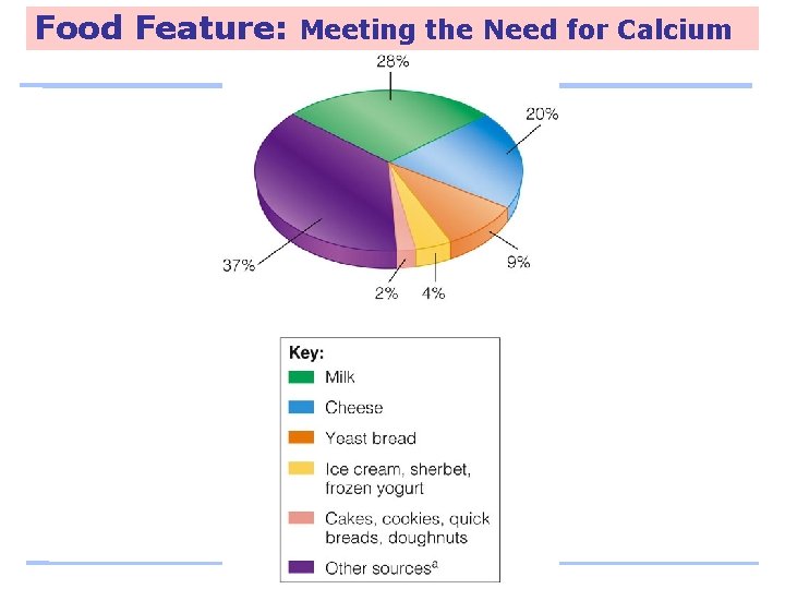 Food Feature: Meeting the Need for Calcium 