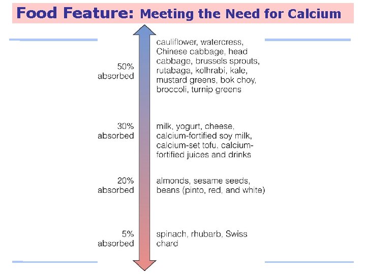 Food Feature: Meeting the Need for Calcium 