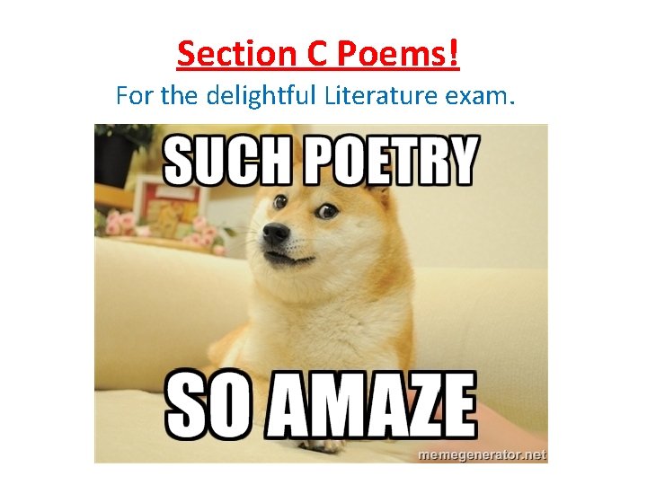 Section C Poems! For the delightful Literature exam. 