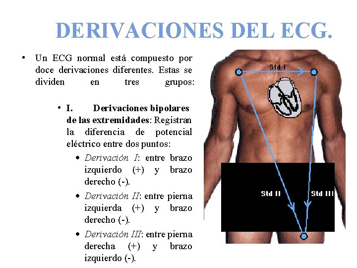 DERIVACIONES DEL ECG. • Un ECG normal está compuesto por doce derivaciones diferentes. Estas