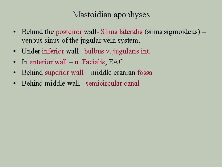 Mastoidian apophyses • Behind the posterior wall- Sinus lateralis (sinus sigmoideus) – venous sinus