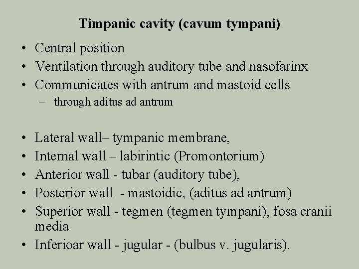 Timpanic cavity (cavum tympani) • Central position • Ventilation through auditory tube and nasofarinx
