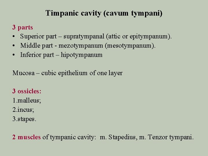 Timpanic cavity (cavum tympani) 3 parts • Superior part – supratympanal (attic or epitympanum).