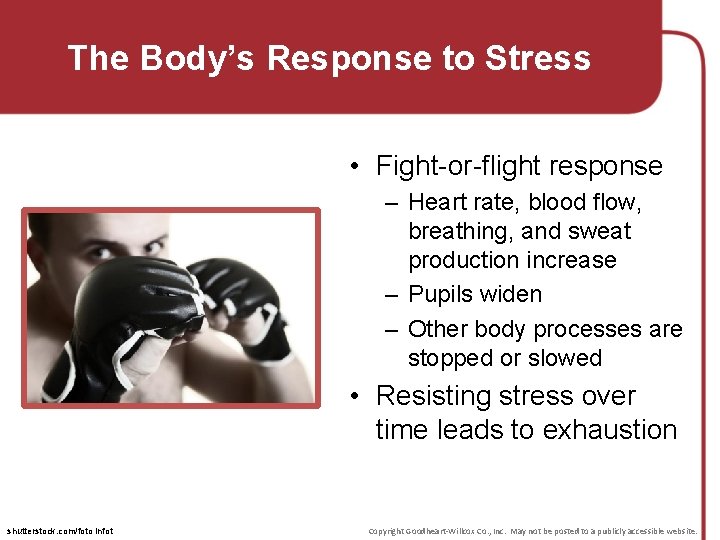 The Body’s Response to Stress • Fight-or-flight response – Heart rate, blood flow, breathing,