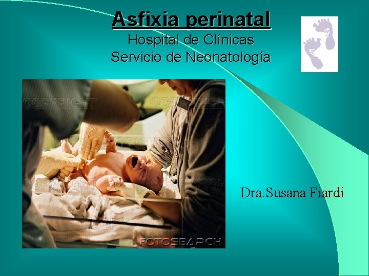 Asfixia perinatal Hospital de Clínicas Servicio de Neonatología Dra. Susana Fiardi 