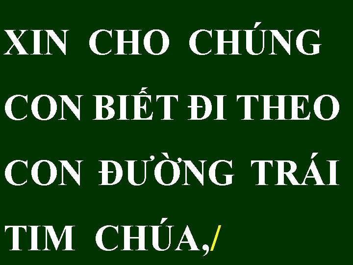 XIN CHO CHÚNG CON BIẾT ĐI THEO CON ĐƯỜNG TRÁI TIM CHÚA, / 