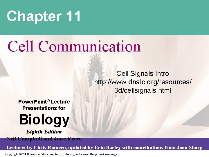 Chapter 11 Cell Communication Cell Signals Intro http: //www. dnalc. org/resources/ 3 d/cellsignals. html