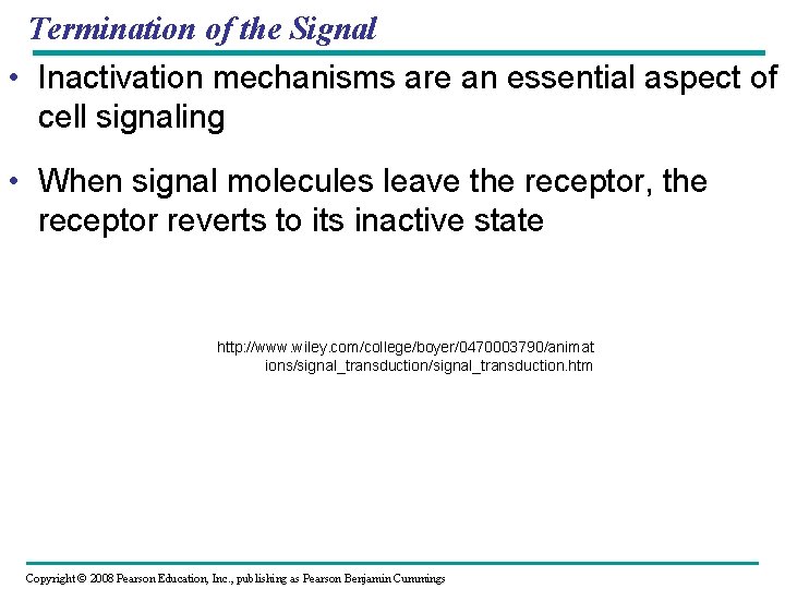 Termination of the Signal • Inactivation mechanisms are an essential aspect of cell signaling