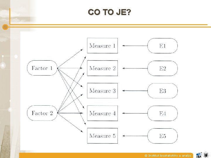 CO TO JE? © Institut biostatistiky a analýz CO TO JE? © Institut biostatistiky a analýz
