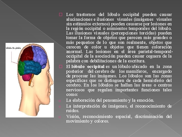Los trastornos del lóbulo occipital pueden causar alucinaciones e ilusiones visuales (imágenes visuales sin