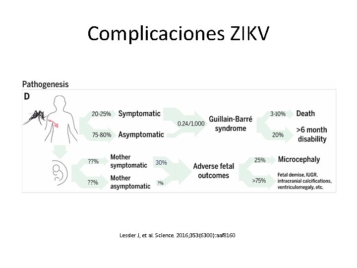 Complicaciones ZIKV Lessler J, et al. Science. 2016; 353(6300): aaf 8160 