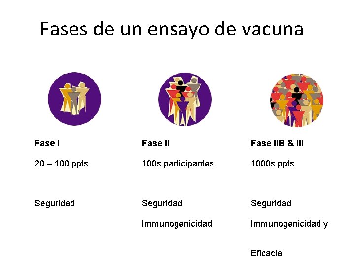 Fases de un ensayo de vacuna Fase IIB & III 20 – 100 ppts