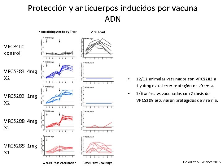 Protección y anticuerpos inducidos por vacuna ADN Neutralizing Antibody Titer Viral Load VRC 8400