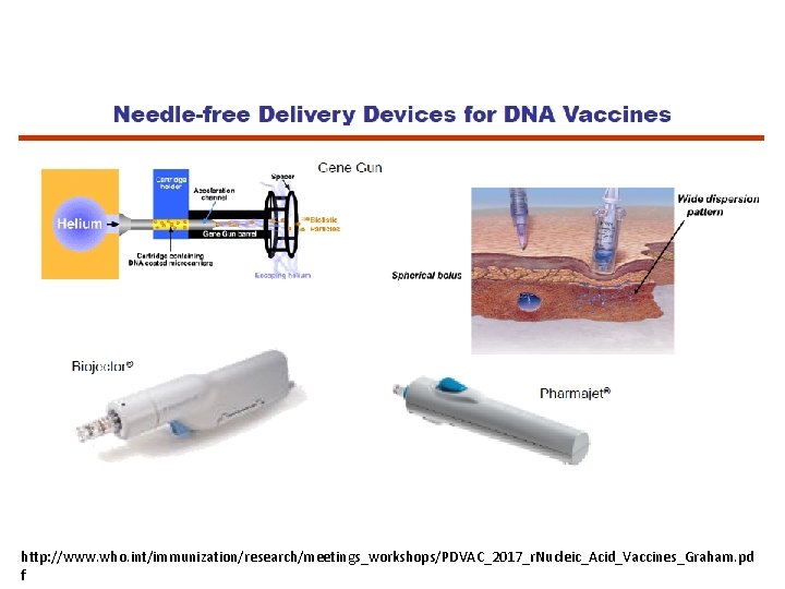 http: //www. who. int/immunization/research/meetings_workshops/PDVAC_2017_r. Nucleic_Acid_Vaccines_Graham. pd f 