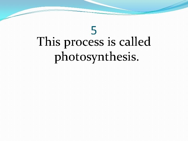5 This process is called photosynthesis. 