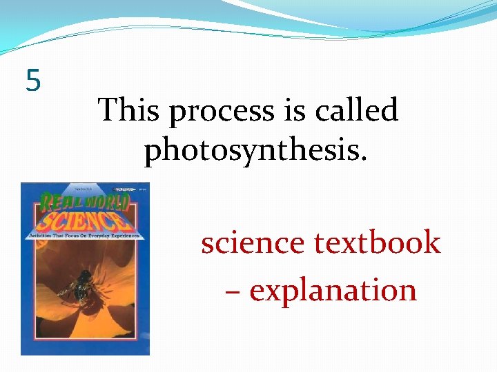 5 This process is called photosynthesis. science textbook – explanation 