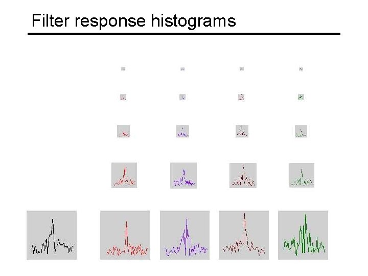Filter response histograms 