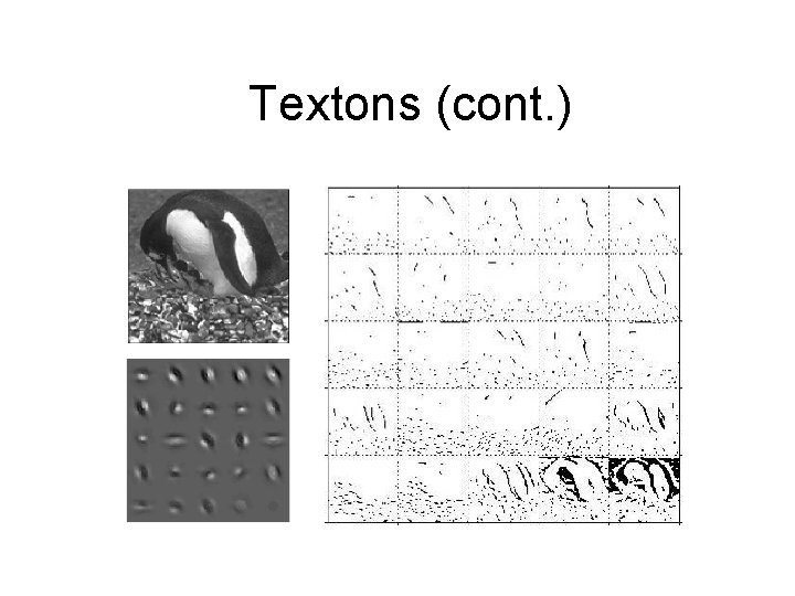 Textons (cont. ) 