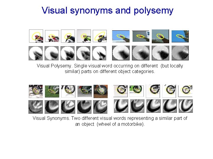 Visual synonyms and polysemy Visual Polysemy. Single visual word occurring on different (but locally