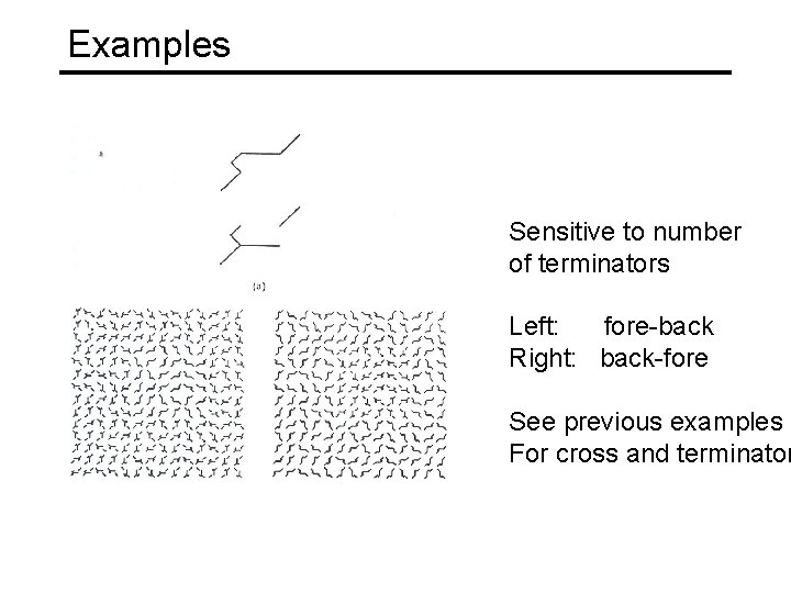 Examples Sensitive to number of terminators Left: fore-back Right: back-fore See previous examples For