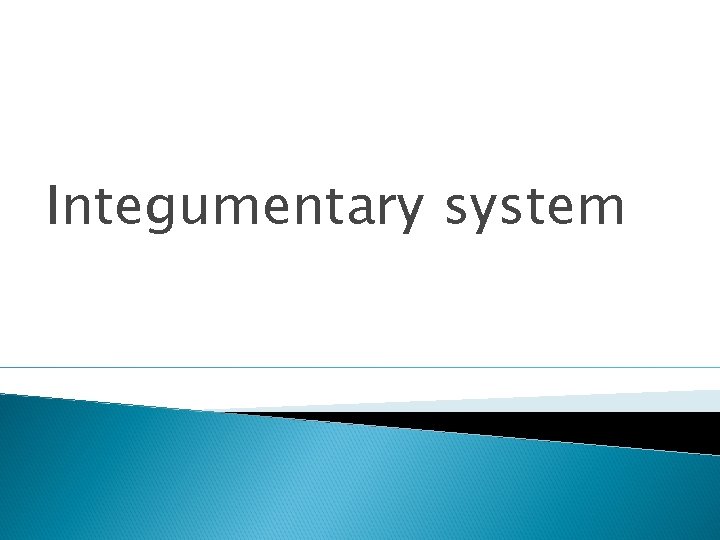 Integumentary system 