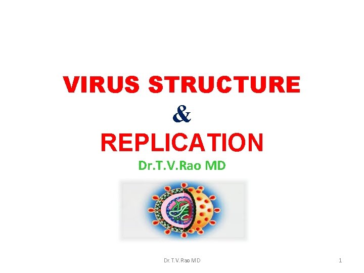 VIRUS STRUCTURE & REPLICATION Dr. T. V. Rao MD 1 