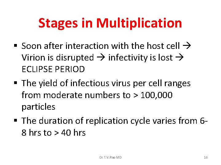 Stages in Multiplication § Soon after interaction with the host cell Virion is disrupted