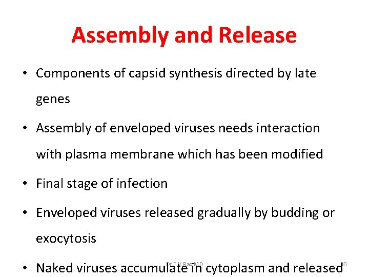 Assembly and Release • Components of capsid synthesis directed by late genes • Assembly