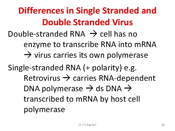 Differences in Single Stranded and Double Stranded Virus Double-stranded RNA cell has no enzyme