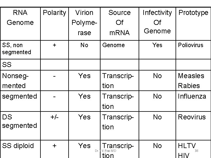 RNA Genome Polarity Virion Polymerase + No Nonsegmented - Yes DS segmented +/- Yes