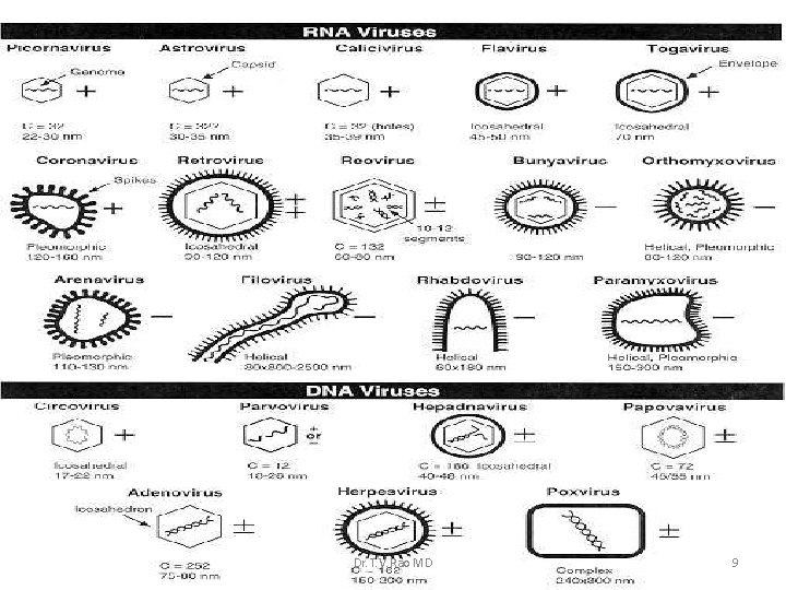 Dr. T. V. Rao MD 9 