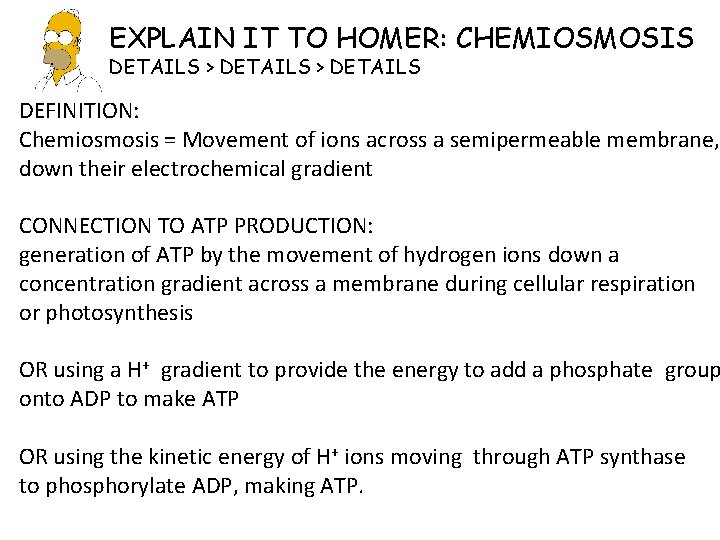 EXPLAIN IT TO HOMER: CHEMIOSMOSIS DETAILS > DETAILS DEFINITION: Chemiosmosis = Movement of ions