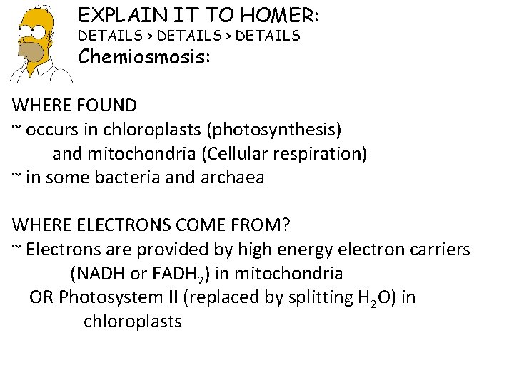 EXPLAIN IT TO HOMER: DETAILS > DETAILS Chemiosmosis: WHERE FOUND ~ occurs in chloroplasts