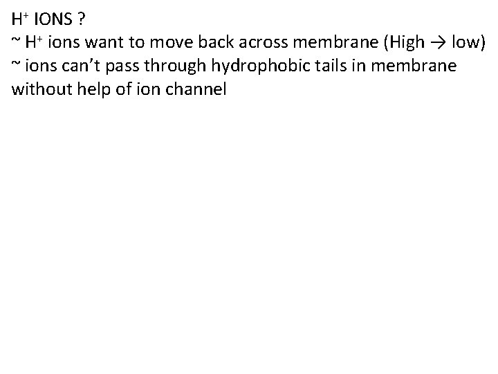 H+ IONS ? ~ H+ ions want to move back across membrane (High →