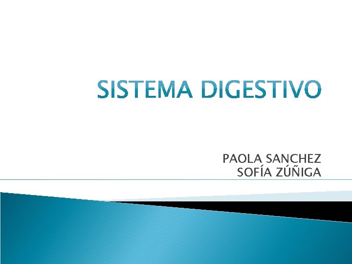 PAOLA SANCHEZ SOFÍA ZÚÑIGA PAOLA SANCHEZ SOFÍA ZÚÑIGA