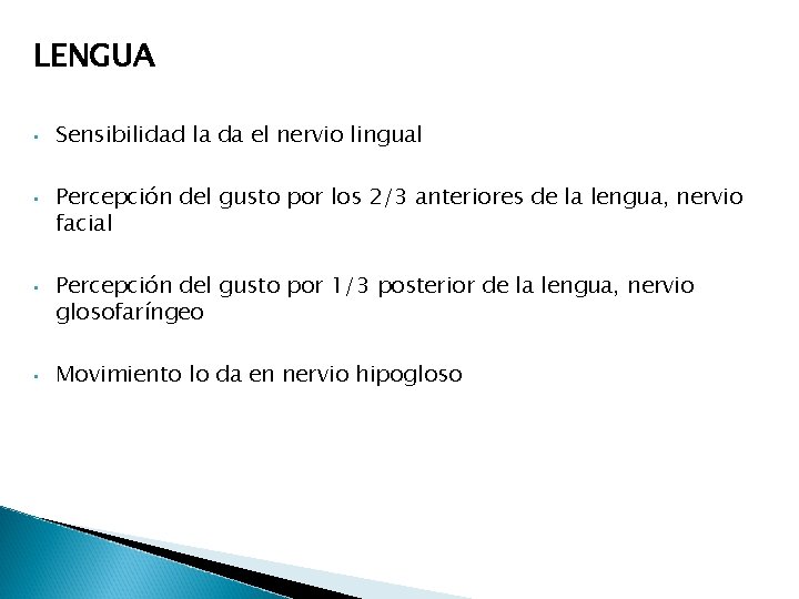 LENGUA • • Sensibilidad la da el nervio lingual Percepción del gusto por los LENGUA • • Sensibilidad la da el nervio lingual Percepción del gusto por los