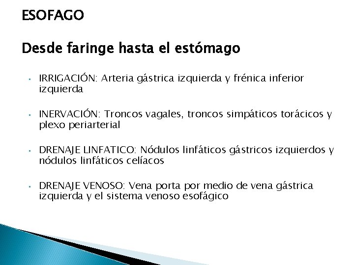 ESOFAGO Desde faringe hasta el estómago • • IRRIGACIÓN: Arteria gástrica izquierda y frénica ESOFAGO Desde faringe hasta el estómago • • IRRIGACIÓN: Arteria gástrica izquierda y frénica