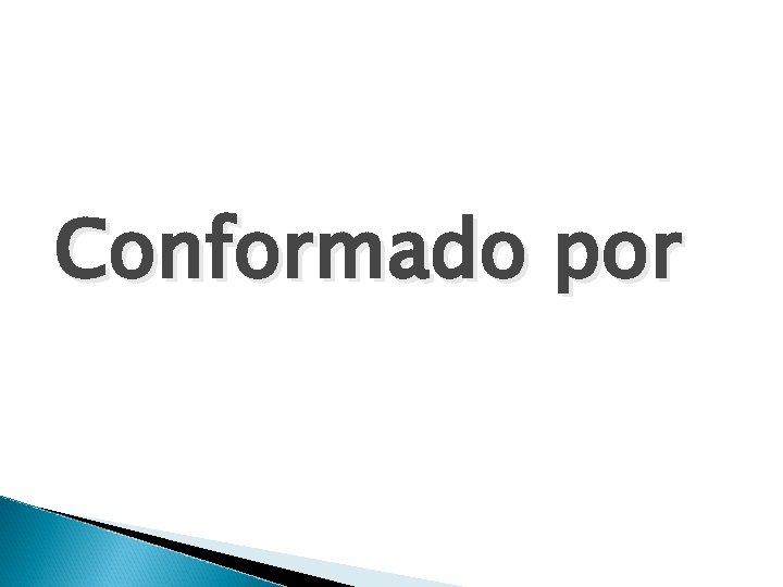 Conformado por Conformado por