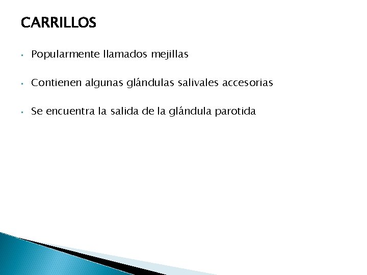 CARRILLOS • Popularmente llamados mejillas • Contienen algunas glándulas salivales accesorias • Se encuentra CARRILLOS • Popularmente llamados mejillas • Contienen algunas glándulas salivales accesorias • Se encuentra