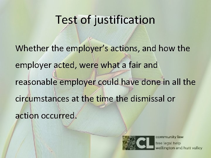 Justification Test Warnings Suspensions Dismissal Problems at Work Kate Scarlet